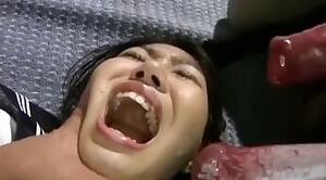 Zoo porno and bestiality